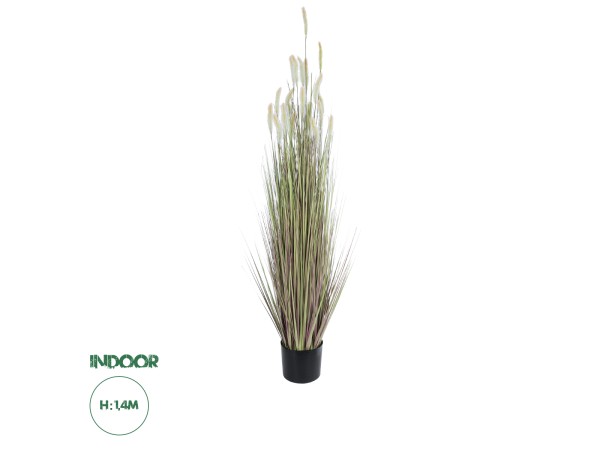 GloboStar® Artificial Garden BEIGE LAGURUS 21102 Διακοσμητικό Φυτό Μπεζ Λαγοουρά Υ140cm GloboStar® Artificial Garden BEIGE LAGURUS 21102 Διακοσμητικό Φυτό Μπεζ Λαγοουρά Υ140cm