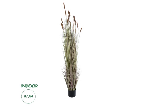 GloboStar® Artificial Garden BROWN LAGURUS 21103 Διακοσμητικό Φυτό Καφέ Λαγοουρά Υ180cm