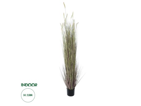 GloboStar® Artificial Garden BEIGE LAGURUS 21104 Διακοσμητικό Φυτό Μπεζ Λαγοουρά Υ180cm
