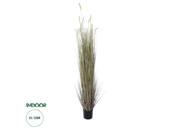 GloboStar® Artificial Garden BEIGE LAGURUS 21104 Διακοσμητικό Φυτό Μπεζ Λαγοουρά Υ180cm GloboStar® Artificial Garden BEIGE LAGURUS 21104 Διακοσμητικό Φυτό Μπεζ Λαγοουρά Υ180cm