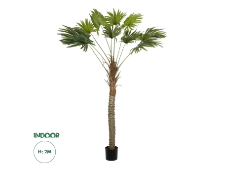 GloboStar® Artificial Garden WASHINGTONIA FILIFERA TREE 21107 Τεχνητό Διακοσμητικό Φοινικόδεντρου Υ200cm