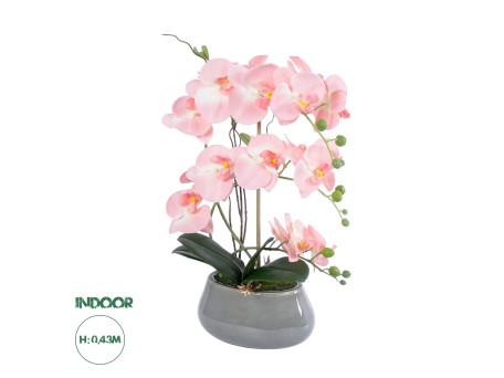 GloboStar® Artificial Garden SALMON PINK ORCHID 21122 Διακοσμητικό Φυτό Ροζ-Πορτοκαλί Ορχιδέα Υ43cm