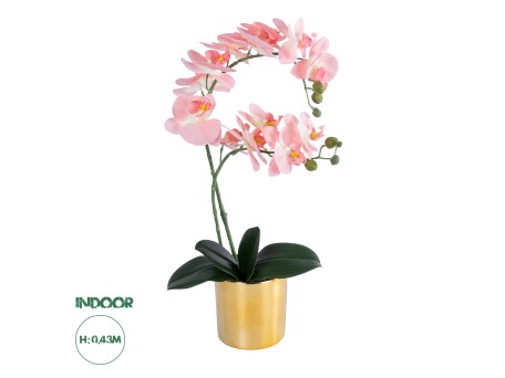 GloboStar® Artificial Garden SALMON PINK ORCHID 21129 Διακοσμητικό Φυτό Φούξια Ορχιδέα Υ43cm