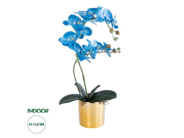 GloboStar® Artificial Garden BLUE ORCHID 21130 Διακοσμητικό Φυτό Μπλε Ορχιδέα Υ43cm GloboStar® Artificial Garden BLUE ORCHID 21130 Διακοσμητικό Φυτό Μπλε Ορχιδέα Υ43cm