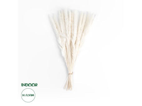 GloboStar® Artificial Garden REAL DRIED BEIGE PAMPAS GRASS BUNCH 21216 Αποξηραμένο Διακοσμητικό Μπουκέτο Pampas Μπέζ Y50cm - Σετ 15 τμχ