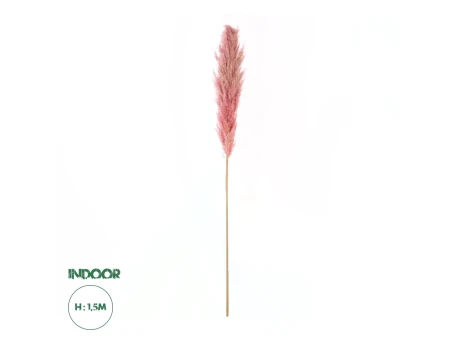 GloboStar® Artificial Garden PAMPAS GRASS 21218 Αποξηραμένο Διακοσμητικό Γρασίδι Πάμπας Μ10 x Π10 x Υ150cm