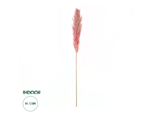 GloboStar® Artificial Garden PAMPAS GRASS 21218 Αποξηραμένο Διακοσμητικό Γρασίδι Πάμπας Μ10 x Π10 x Υ150cm GloboStar® Artificial Garden PAMPAS GRASS 21218 Αποξηραμένο Διακοσμητικό Γρασίδι Πάμπας Μ10 x Π10 x Υ150cm