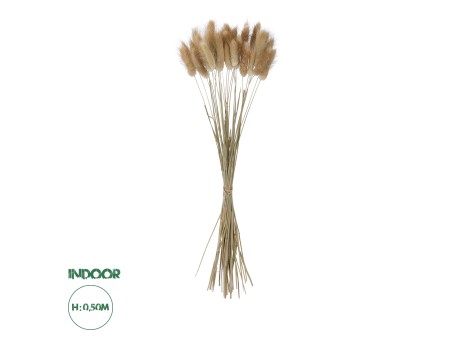 GloboStar® Artificial Garden REAL DRIED BEIGE WHEAT BUNCH  21219 Αποξηραμένο Διακοσμητικό Μπουκέτο Σιταριού Y50cm - Σετ 30 τμχ