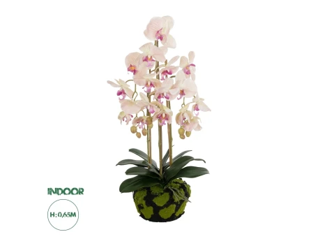 GloboStar® Artificial Garden BUTTERFLY ORCHID BONSAI 21400 Τεχνητό Διακοσμητικό Φυτό Ορχιδέα Μ34 x Π27 x Υ65cm