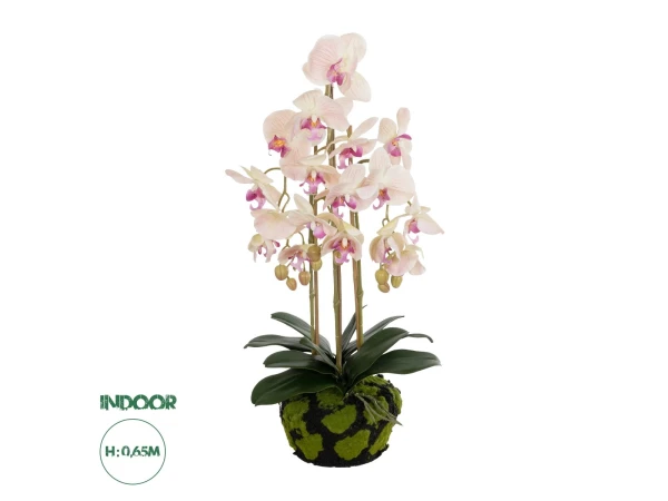 GloboStar® Artificial Garden BUTTERFLY ORCHID BONSAI 21400 Τεχνητό Διακοσμητικό Φυτό Ορχιδέα Μ34 x Π27 x Υ65cm