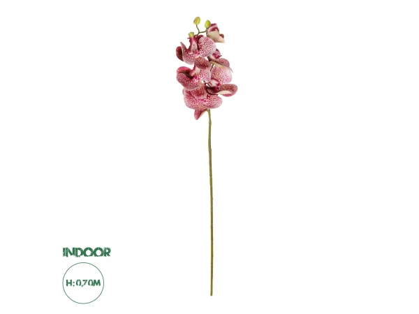 GloboStar® Artificial Garden  PINK ORCHID  BRANCH 21412 Τεχνητό Διακοσμητικό Κλαδί Ροζ Ορχιδέα Y70cm