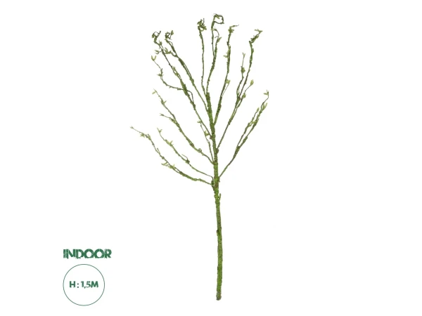 GloboStar® Artificial Garden BIG SPROUT BLOSSOM BRANCH 21461 Τεχνητό Διακοσμητικό Κλαδί Πράσινο Λάχανο Y150cm GloboStar® Artificial Garden BIG SPROUT BLOSSOM BRANCH 21461 Τεχνητό Διακοσμητικό Κλαδί Πράσινο Λάχανο Y150cm