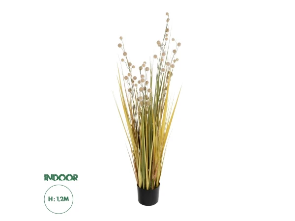 GloboStar® Artificial Garden CRASPEDIA GRASS 21479 Τεχνητό Διακοσμητικό Φυτό Κρασπέδια Υ120cm GloboStar® Artificial Garden CRASPEDIA GRASS 21479 Τεχνητό Διακοσμητικό Φυτό Κρασπέδια Υ120cm