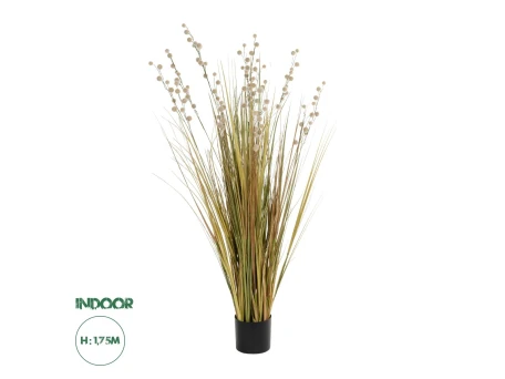 GloboStar® Artificial Garden CRASPEDIA GRASS 21480 Τεχνητό Διακοσμητικό Φυτό Μπεζ & Πράσινο Κρασπέδια Μ90 x Π60 x Υ175cm