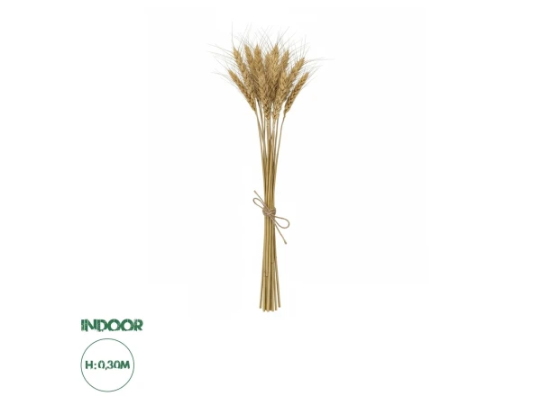 GloboStar® Artificial Garden REAL DRIED WHEAT GRASS 21488 Τεχνητό Διακοσμητικό Κλαδί Σιταριού Y30cm - Σετ 10 τμχ GloboStar® Artificial Garden REAL DRIED WHEAT GRASS 21488 Τεχνητό Διακοσμητικό Κλαδί Σιταριού Y30cm - Σετ 10 τμχ