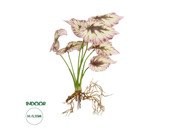 GloboStar® Artificial Garden BEGONIA LEAVES ROOTED 21489 Τεχνητό Διακοσμητικό Φυτό Πολύχρωμη Βιγόνια Μ25 x Π14 x Υ35cm GloboStar® Artificial Garden BEGONIA LEAVES ROOTED 21489 Τεχνητό Διακοσμητικό Φυτό Πολύχρωμη Βιγόνια Μ25 x Π14 x Υ35cm