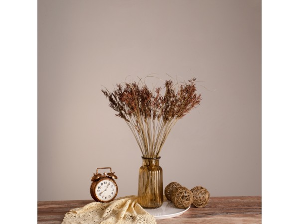 GloboStar® CYPERUS 36500 Αποξηραμένο Φυτό Κύπειρος - Μπουκέτο Διακοσμητικών Κλαδιών Μπεζ - Καφέ Υ60cm - Σετ 50 τμχ GloboStar® CYPERUS 36500 Αποξηραμένο Φυτό Κύπειρος - Μπουκέτο Διακοσμητικών Κλαδιών Μπεζ - Καφέ Υ60cm - Σετ 50 τμχ