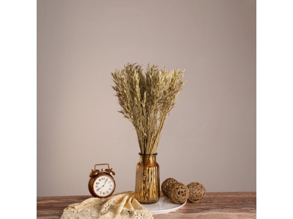 GloboStar® WILDOAT 36501 Αποξηραμένο Φυτό Αγριοβρώμη - Μπουκέτο Διακοσμητικών Κλαδιών Μπεζ - Πράσινο Υ60cm - Σετ 100 τμχ