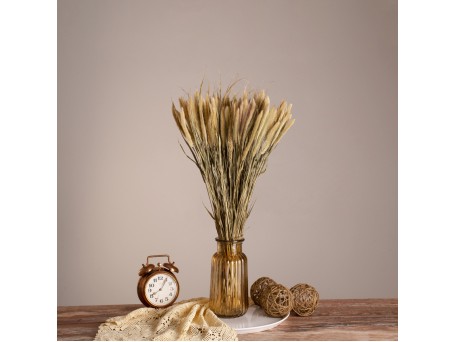 GloboStar® PENNISETUM 36503 Αποξηραμένο Φυτό Πεννήσιο - Μπουκέτο Διακοσμητικών Κλαδιών Μπεζ - Πράσινο Υ60cm - Σετ 100 τμχ