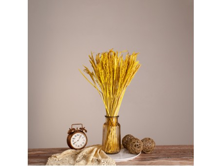 GloboStar® RISEGRASS 36506 Αποξηραμένο Φυτό Ρύζι - Μπουκέτο Διακοσμητικών Κλαδιών Μπεζ - Κίτρινο Υ60cm - Σετ 105 τμχ