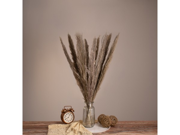 GloboStar® PAMPASGRASS 36511 Αποξηραμένο Φυτό Γρασίδι της Πάμπας - Μπουκέτο Διακοσμητικών Κλαδιών Καφέ - Γκρι Υ80cm - Σετ 10 τμχ