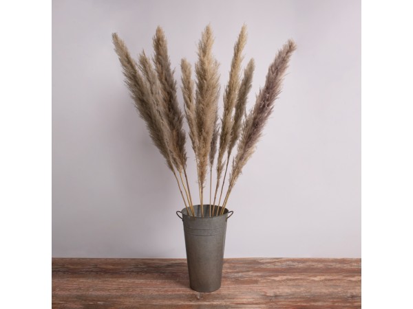 GLOBOSTAR® PAMPASGRASS 36514 Αποξηραμένο Διακοσμητικό Μπουκέτο Γρασίδι της Πάμπας - Καφέ - Μ20 x Π20 x Υ150cm - Πακέτο 5 Τεμαχίων