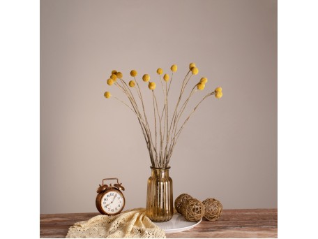 GloboStar® GRASPEDIA 36533 Αποξηραμένο Φυτό Κρασπέδια Φ3cm - Μπουκέτο Διακοσμητικών Κλαδιών Μπεζ - Κίτρινο Υ70cm - Σετ 20 τμχ