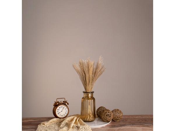 GLOBOSTAR® MISCANTHUS 36534 Αποξηραμένο Διακοσμητικό Μπουκέτο Μίσχανθος - Μπεζ - Μ20 x Π20 x Υ40cm - Πακέτο 20 Τεμαχίων