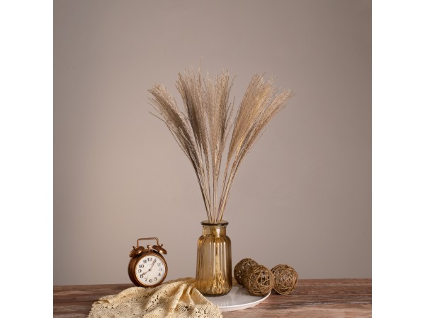 GLOBOSTAR® MISCANTHUS 36535 Αποξηραμένο Διακοσμητικό Μπουκέτο Μίσχανθος - Μπεζ - Μ20 x Π20 x Υ60cm - Πακέτο 20 Τεμαχίων