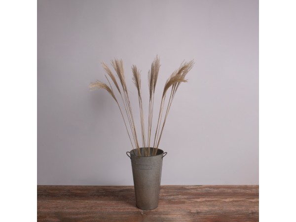 GloboStar® MISCANTHUS 36538 Αποξηραμένο Φυτό Μίσχανθος - Μπουκέτο Διακοσμητικών Κλαδιών Μπεζ Υ120cm - Σετ 10 τμχ GloboStar® MISCANTHUS 36538 Αποξηραμένο Φυτό Μίσχανθος - Μπουκέτο Διακοσμητικών Κλαδιών Μπεζ Υ120cm - Σετ 10 τμχ