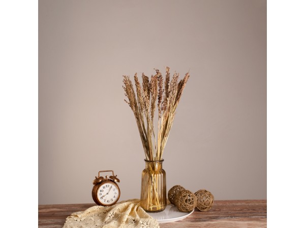 GloboStar® BROOMCORN 36540 Αποξηραμένο Φυτό Γλυκό Σόργο - Μπουκέτο Διακοσμητικών Κλαδιών Μπεζ - Καφέ Υ60cm - Σετ 20 τμχ