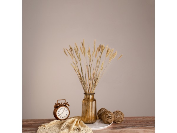 GloboStar® FOUNTAINGRASS 36542 Αποξηραμένο Φυτό Πεννίζετο - Μπουκέτο Διακοσμητικών Κλαδιών Μπεζ - Πράσινο Υ60cm - Σετ 50 τμχ
