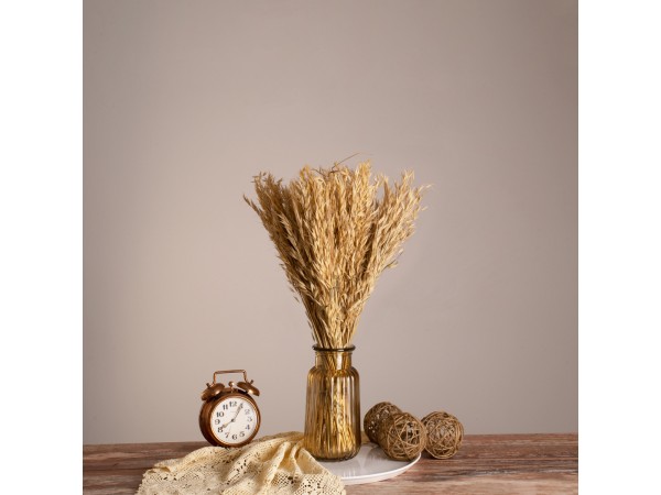 GloboStar® WILDOAT 36543 Αποξηραμένο Φυτό Αγριοβρώμη - Μπουκέτο Διακοσμητικών Κλαδιών Μπεζ Υ60cm - Σετ 100 τμχ