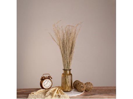 GloboStar® SILVERHAIRGRASS 36545 Αποξηραμένο Φυτό Ασημένια Χλόη - Μπουκέτο Διακοσμητικών Κλαδιών Μπεζ Υ60cm - Σετ 100 τμχ