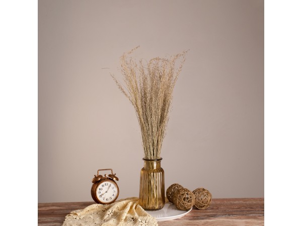 GloboStar® SILVERHAIRGRASS 36545 Αποξηραμένο Φυτό Ασημένια Χλόη - Μπουκέτο Διακοσμητικών Κλαδιών Μπεζ Υ60cm - Σετ 100 τμχ