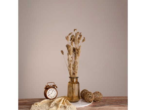 GloboStar® WILDCARROT 36546 Αποξηραμένο Φυτό Άγριο Καρότο - Μπουκέτο Διακοσμητικών Κλαδιών Μπεζ Υ60cm - Σετ 10 τμχ