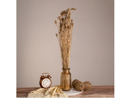 GloboStar® WILDCARROT 36547 Αποξηραμένο Φυτό Άγριο Καρότο - Μπουκέτο Διακοσμητικών Κλαδιών Μπεζ Υ80cm - Σετ 10 τμχ