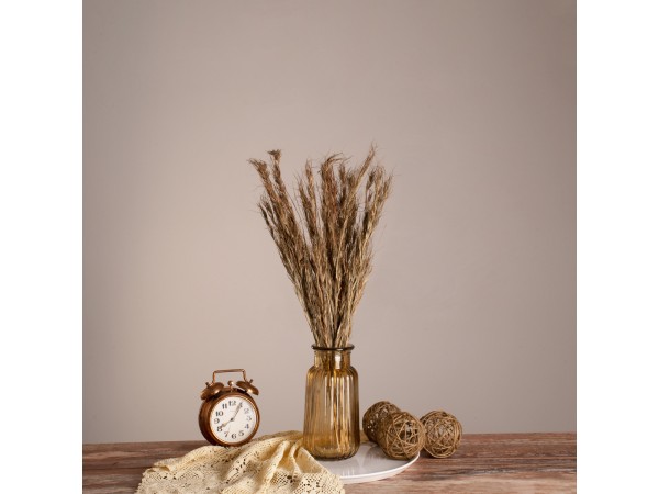 GloboStar® COLATAI 36549 Αποξηραμένο Φυτό Εράγρωστις - Μπουκέτο Διακοσμητικών Κλαδιών Μπεζ - Καφέ Υ60cm - Σετ 50 τμχ GloboStar® COLATAI 36549 Αποξηραμένο Φυτό Εράγρωστις - Μπουκέτο Διακοσμητικών Κλαδιών Μπεζ - Καφέ Υ60cm - Σετ 50 τμχ