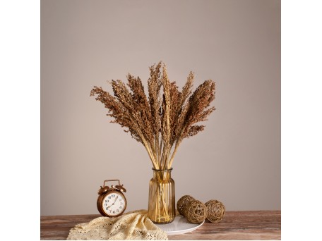 GloboStar® BROOMCORN 36553 Αποξηραμένο Φυτό Γλυκό Σόργο - Μπουκέτο Διακοσμητικών Κλαδιών Καφέ Υ60cm - Σετ 20 τμχ