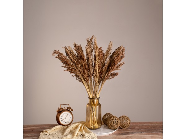 GloboStar® BROOMCORN 36553 Αποξηραμένο Φυτό Γλυκό Σόργο - Μπουκέτο Διακοσμητικών Κλαδιών Καφέ Υ60cm - Σετ 20 τμχ