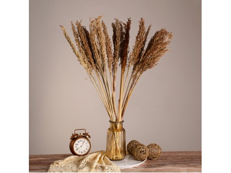 GloboStar® BROOMCORN 36554 Αποξηραμένο Φυτό Γλυκό Σόργο - Μπουκέτο Διακοσμητικών Κλαδιών Καφέ Υ80cm - Σετ 20 τμχ