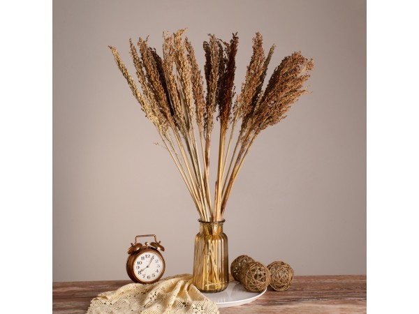 GloboStar® BROOMCORN 36554 Αποξηραμένο Φυτό Γλυκό Σόργο - Μπουκέτο Διακοσμητικών Κλαδιών Καφέ Υ80cm - Σετ 20 τμχ