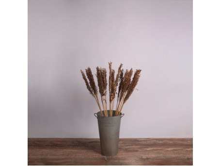 GloboStar® BROOMCORN 36555 Αποξηραμένο Φυτό Γλυκό Σόργο - Μπουκέτο Διακοσμητικών Κλαδιών Καφέ Υ100cm - Σετ 20 τμχ