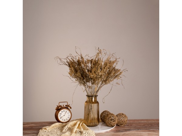 GloboStar® FERNGRASS 36556 Αποξηραμένο Φυτό Φτερόχορτο - Μπουκέτο Διακοσμητικών Κλαδιών Μπεζ Υ60cm - Σετ 50 τμχ