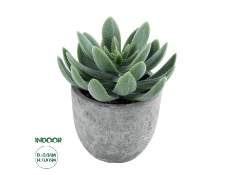 GloboStar® Artificial Garden SUCCULENT SEDEVERIA 21025 Διακοσμητικό Φυτό Παχύφυτο Σεντεβέρια Υ10.5cm