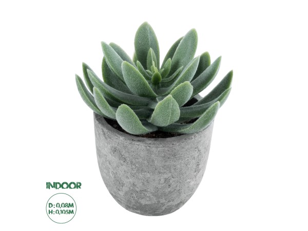 GloboStar® Artificial Garden SUCCULENT SEDEVERIA 21025 Διακοσμητικό Φυτό Παχύφυτο Σεντεβέρια Υ10.5cm