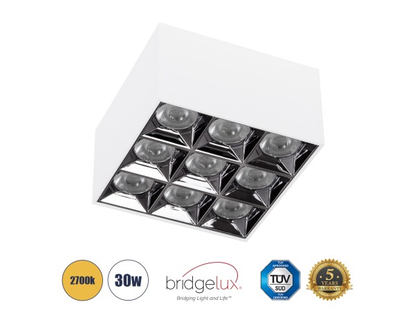 GLOBOSTAR® LUMINAR 60339 Downlight Σποτ LED 30W 4050lm 36° AC 220-240V IP20 Θερμό Λευκό 2700K - Osram SMD Chip & TÜV SÜD Driver - Λευκό Ματ - Μ12 x Π12 x Υ6.6cm - 5 Χρόνια Εγγύηση