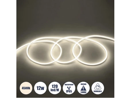 GLOBOSTAR® NEOVALE 70561 Ταινία Neon Flex LED 12W/m 960lm/m 120° DC 24V Αδιάβροχο IP65 120 x SMD2835 Chip/m Φυσικό Λευκό 4500K Dimmable - Sanan SMD Chip - Μ100 x Π0.8 x Υ1.6cm - 3 Χρόνια Εγγύηση
