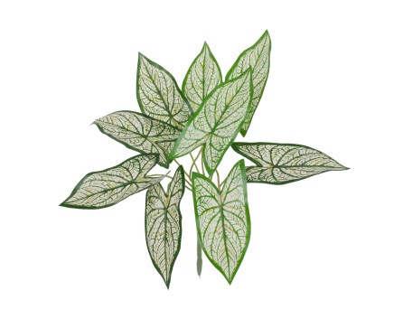 GloboStar® SYNGONIUM 78224 Τεχνητό Φυτό Συγγόνιο - Μπουκέτο Διακοσμητικών Φυτών - Κλαδιών με Φύλλωμα Πράσινο - Λευκό Υ37cm