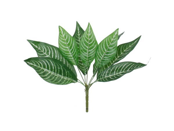 GloboStar® MADAGASCAR JEWEL 78274 Τεχνητό Φυτό Ευφορβία - Μπουκέτο Διακοσμητικών Φυτών - Κλαδιών με Φύλλωμα Πράσινο Υ35cm GloboStar® MADAGASCAR JEWEL 78274 Τεχνητό Φυτό Ευφορβία - Μπουκέτο Διακοσμητικών Φυτών - Κλαδιών με Φύλλωμα Πράσινο Υ35cm